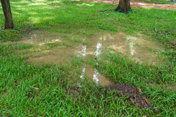 Storm Water Drainage Service in Jeffersonville