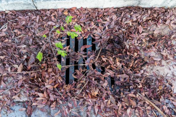 Yard Drain Unclogging Service