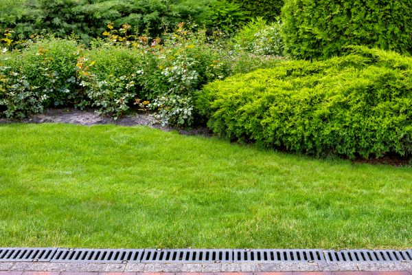 Yard Drainage System Installation