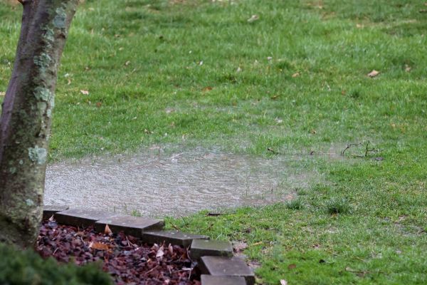 Landscape Water Diversion