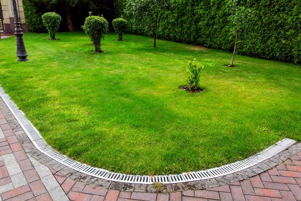 Yard Water Flow Restoration