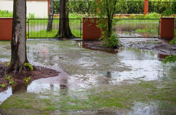 Waterlogged Yard Service