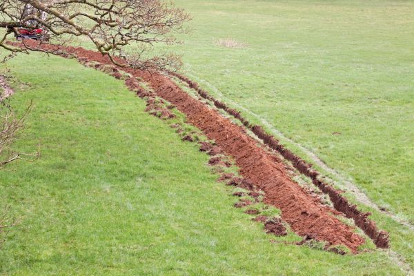 Cost of Swale Installation in Jeffersonville