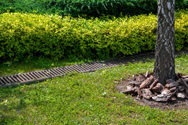 Residential Landscape Drainage in Jeffersonville