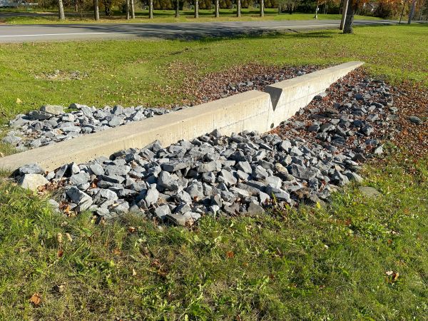 Swale Water Management