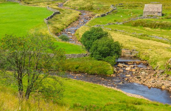 Swale Repair Service